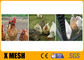 20 Ga rabbit chicken wire mesh Hexagonal Poultry Netting 3/4&quot; acid proof